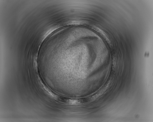 X0000096940794200802221319