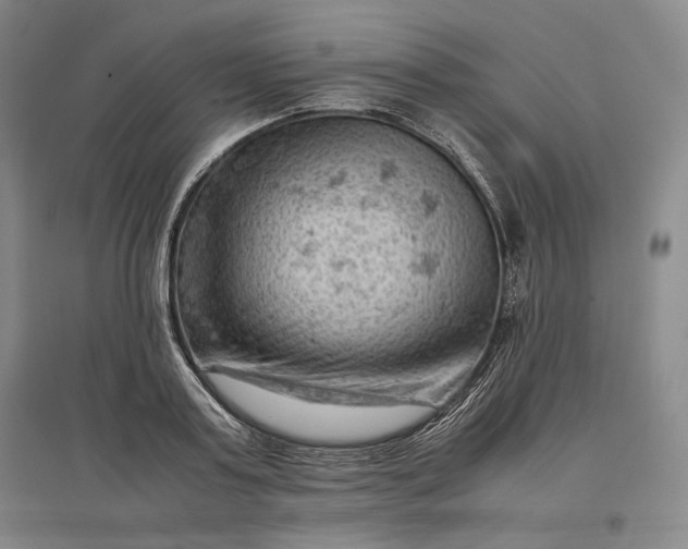 X0000096940795200802221319