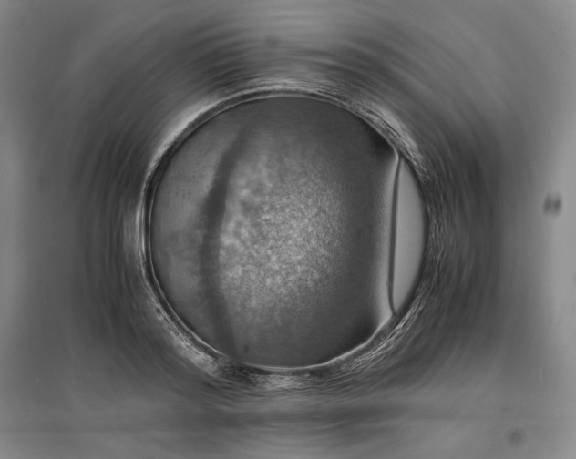 X0000096940796200802221319