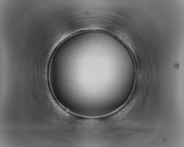 X0000096940797200802221319