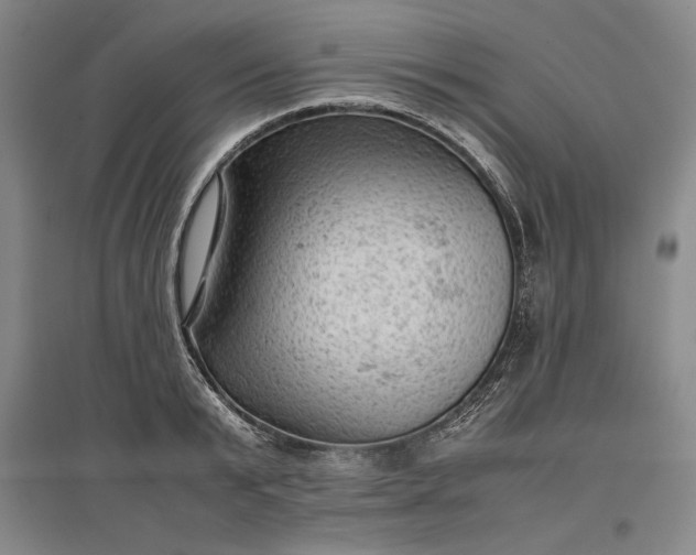 X0000096940799200802221319