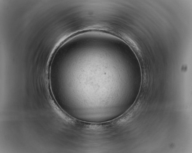 X0000096940800200802221319