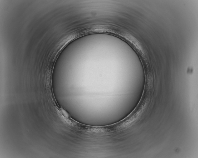 X0000096940801200802221319