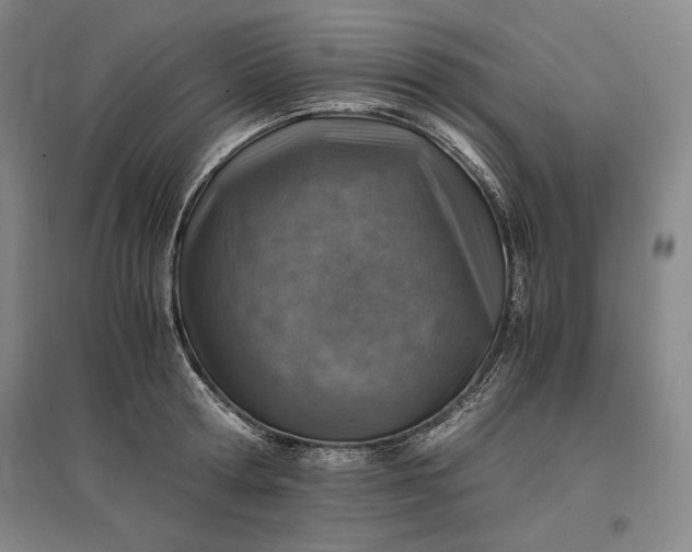 X0000096940802200802221319