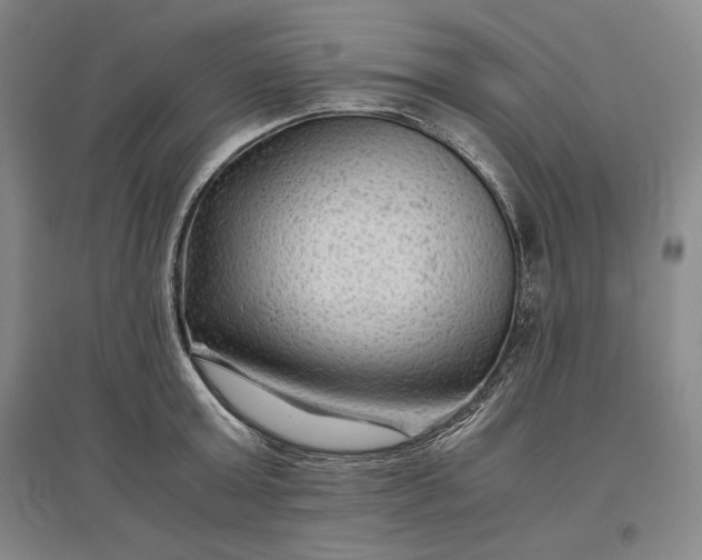 X0000096940803200802221319