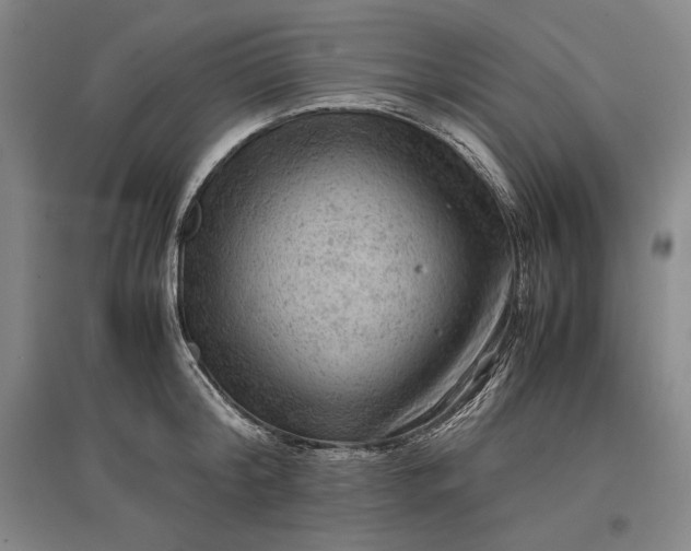 X0000096940804200802221319