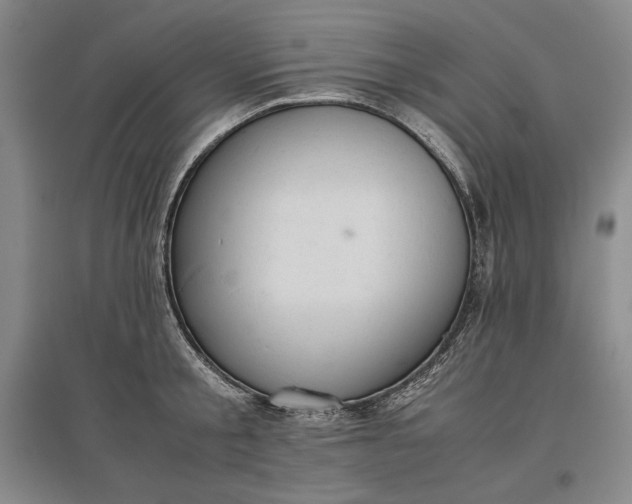 X0000096940805200802221319