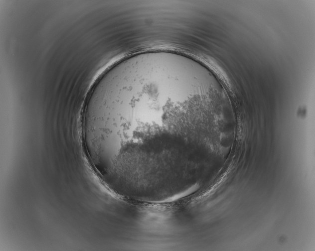 X0000096940806200802221318