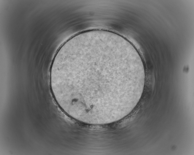 X0000096940807200802221318