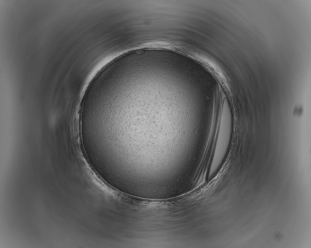 X0000096940808200802221318