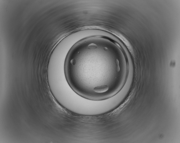 X0000096940809200802221318