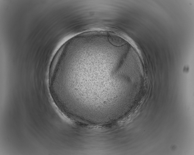 X0000096940811200802221318