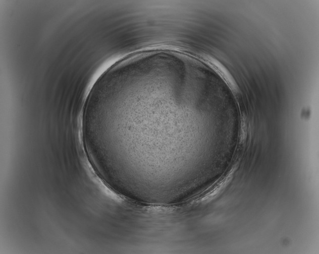 X0000096940812200802221318