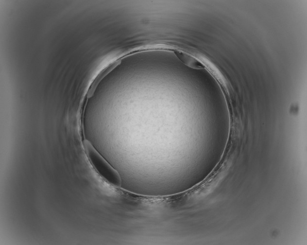 X0000096940813200802221318