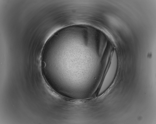 X0000096940814200802221318