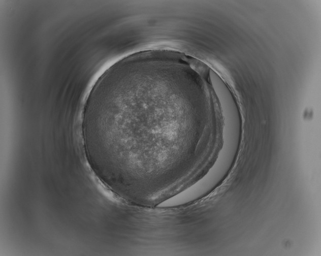 X0000096940816200802221318