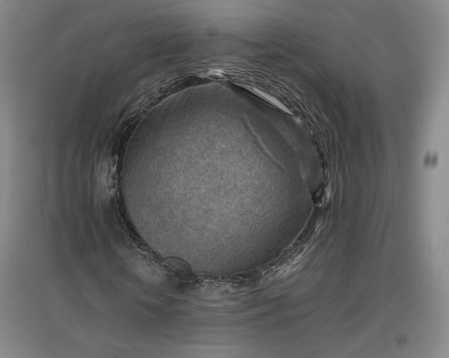 X0000096940818200802221318