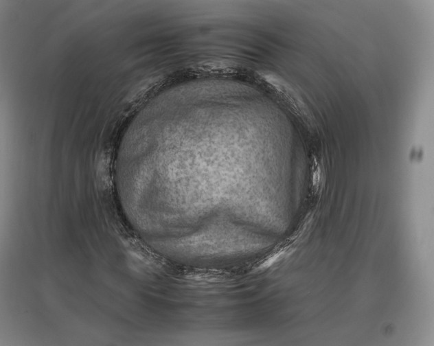 X0000096940819200802221318