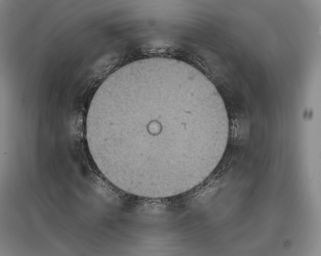 X0000096940820200802221318