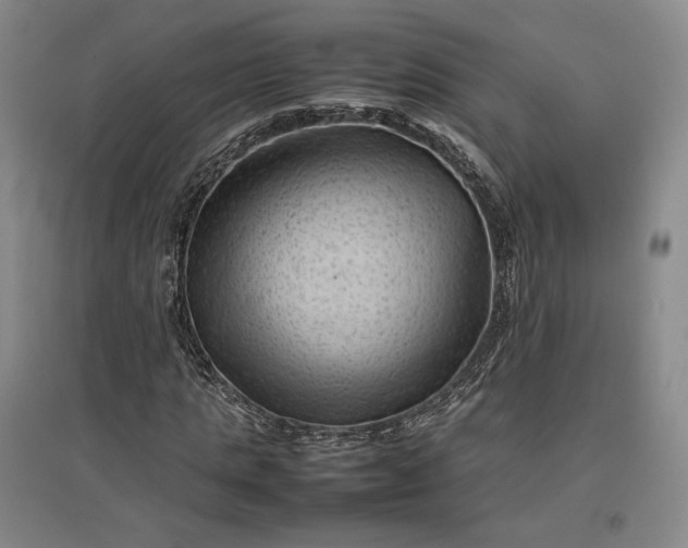 X0000096940821200802221318