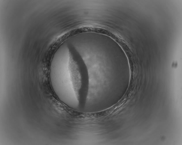 X0000096940822200802221318