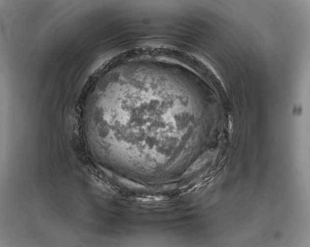 X0000096940823200802221318