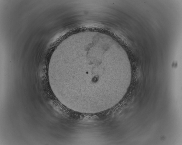 X0000096940824200802221318