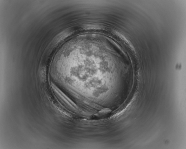 X0000096940825200802221318