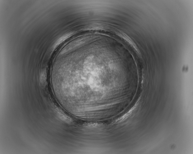 X0000096940826200802221318