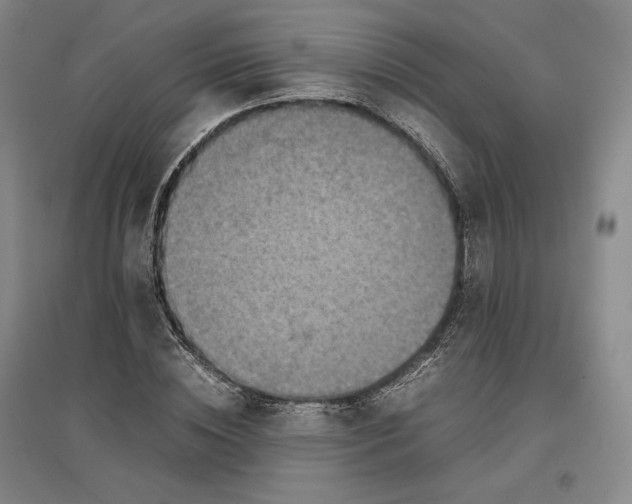 X0000096940828200802221318