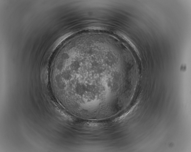 X0000096940829200802221318