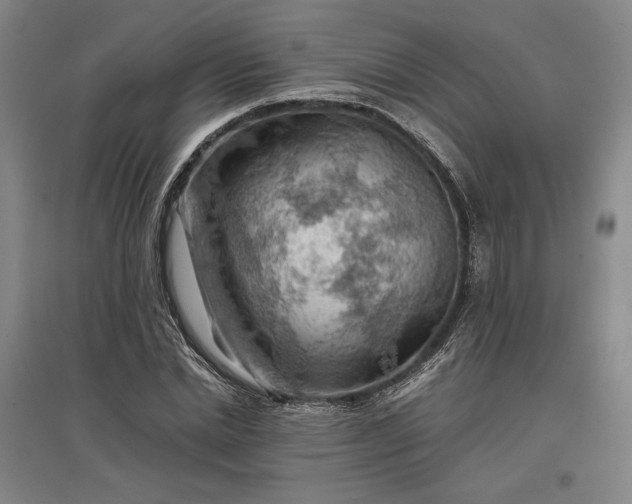 X0000096940830200802221318