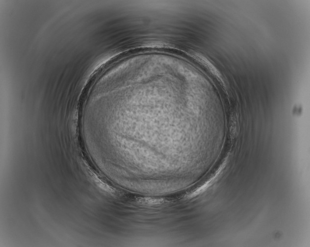 X0000096940831200802221318