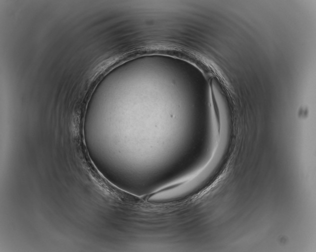 X0000096940833200802221318