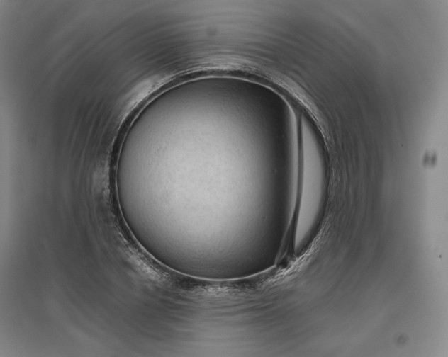 X0000096940834200802221318