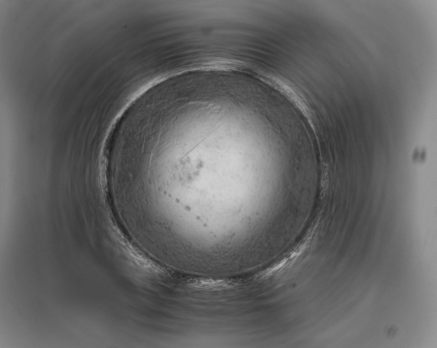 X0000096940835200802221318