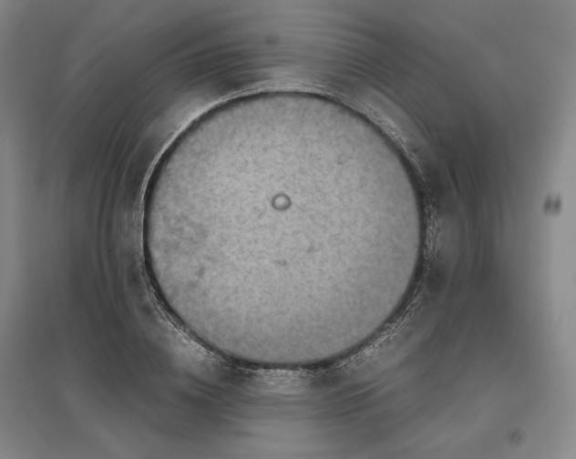 X0000096940836200802221318