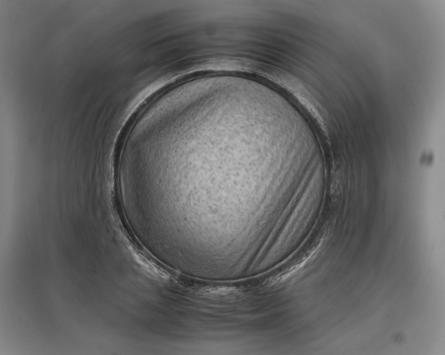 X0000096940837200802221318