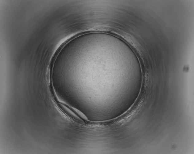 X0000096940838200802221318