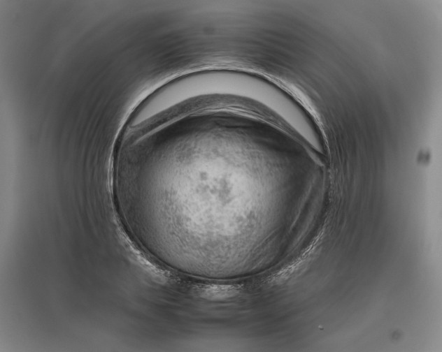 X0000096940839200802221318