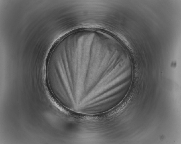 X0000096940840200802221318