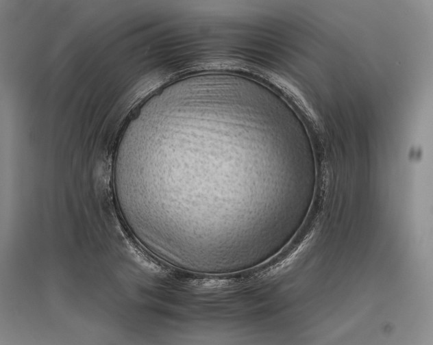 X0000096940841200802221318