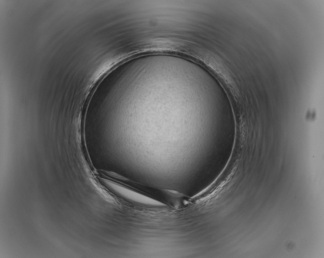 X0000096940842200802221318