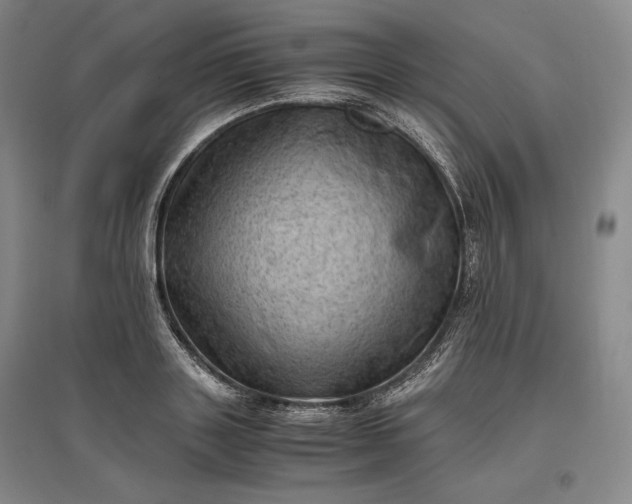 X0000096940843200802221318