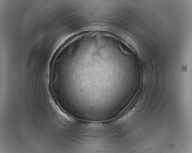 X0000096940844200802221318