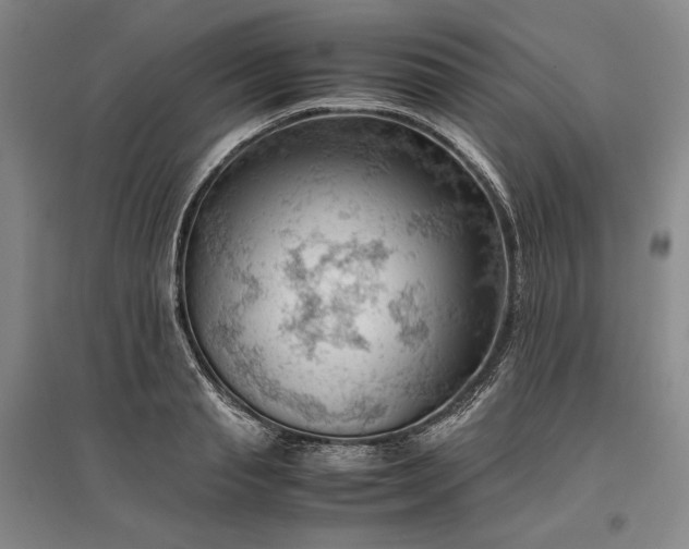 X0000096940845200802221318