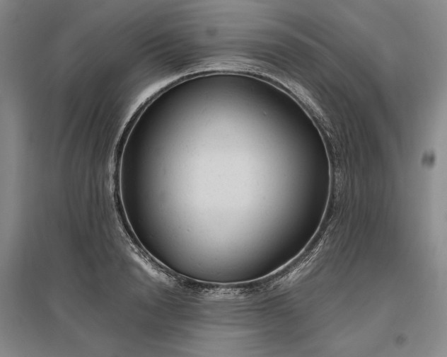 X0000096940846200802221318