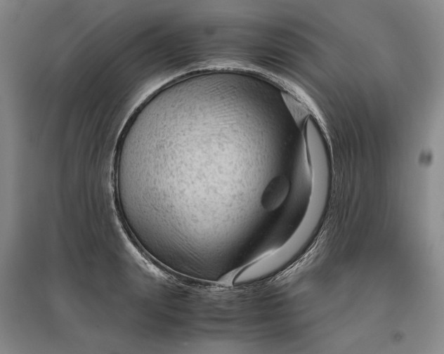 X0000096940847200802221318