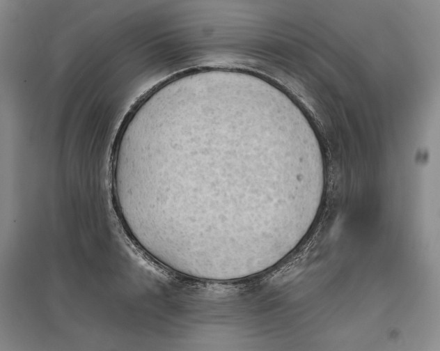 X0000096940848200802221318