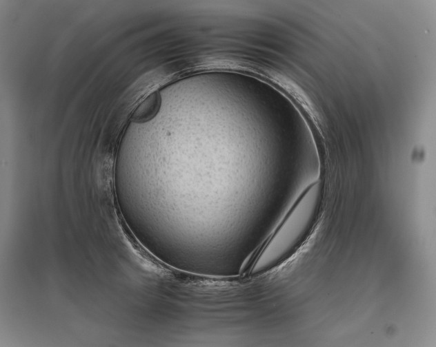 X0000096940849200802221318